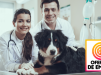 Empleos Para Veterinarios