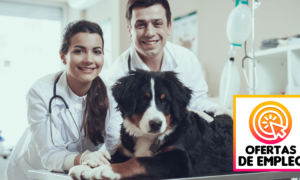 Empleos Para Veterinarios