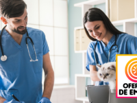 Empleos Para Veterinarios