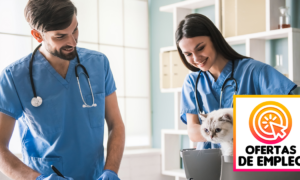 Empleos Para Veterinarios