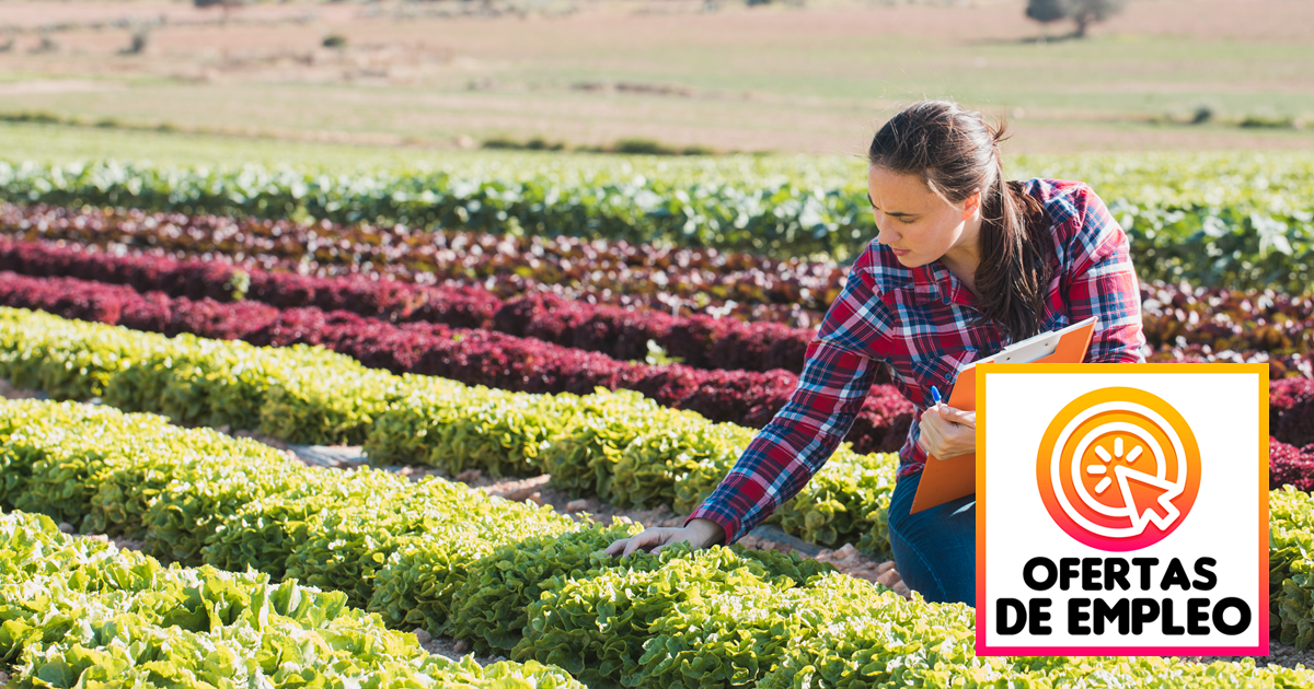 Vacantes Laborales Para Ingenieros Agrónomos