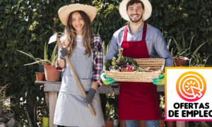 Vacantes Laborales Para Personal de Jardinería